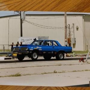 Meet your Posher, Bruce